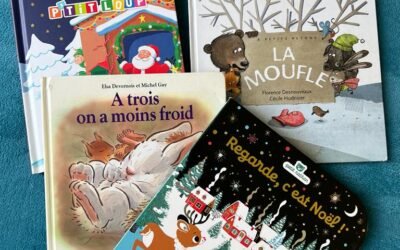 Livres du Mois : En décembre, entre Noël et l’Hiver !