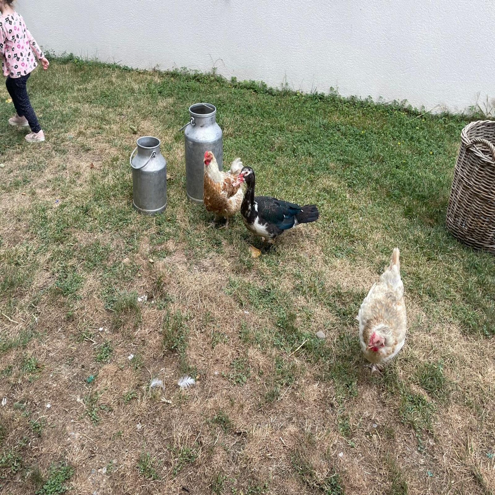 photo ferme 3