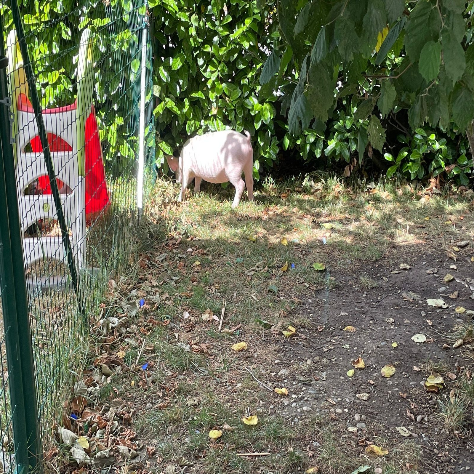 photo ferme 6