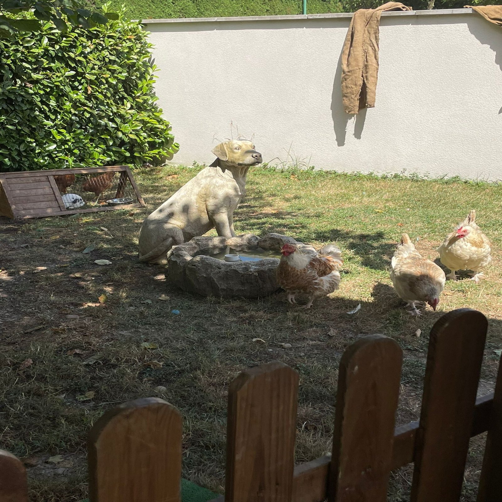 photo ferme 9