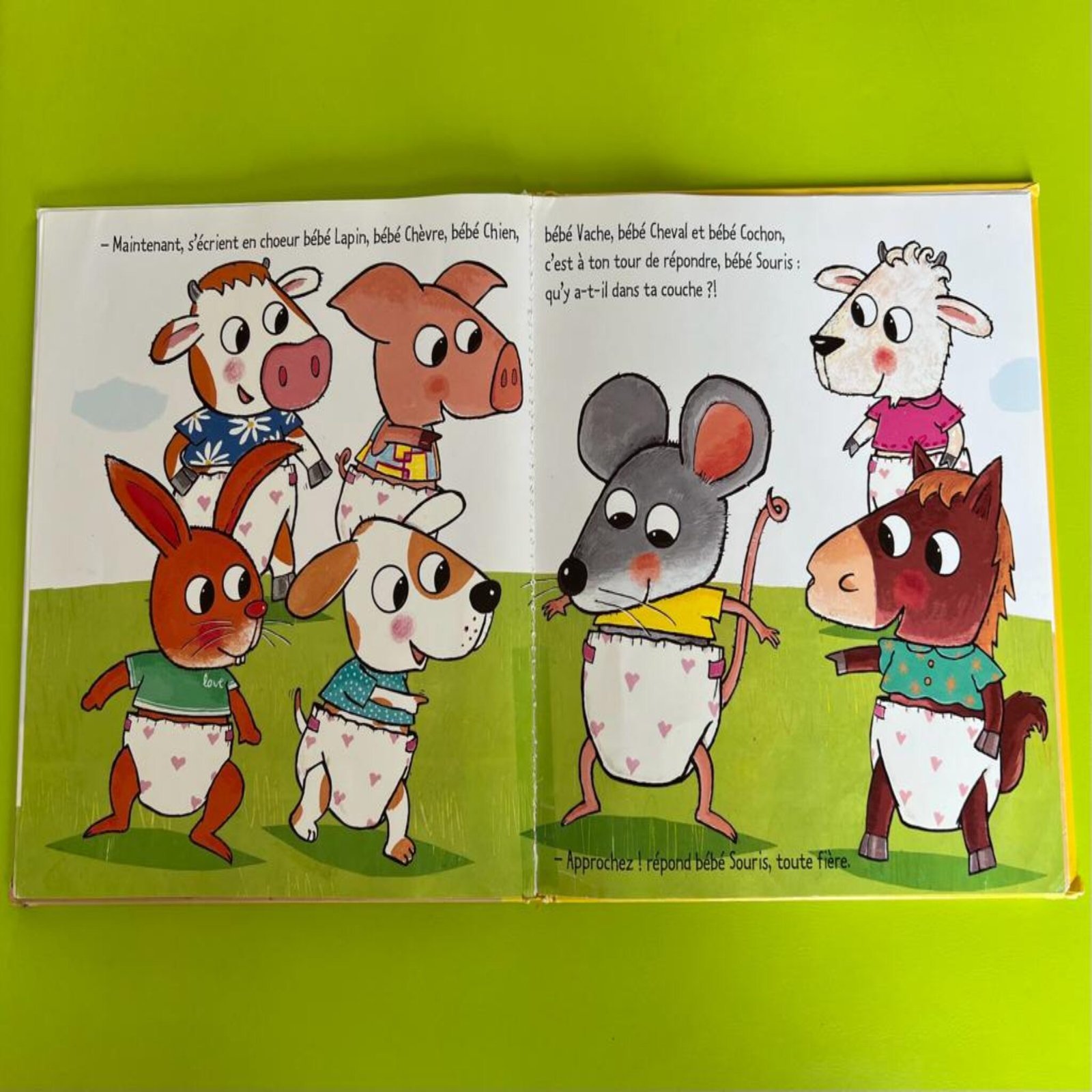 photo livre couche 1